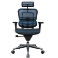 Raynor Marketing Eurotech Ergohuman Executive High Back Chair - ME7ERG-BLUE(N) - Blue Mesh ME7ERG-BLUE(N)